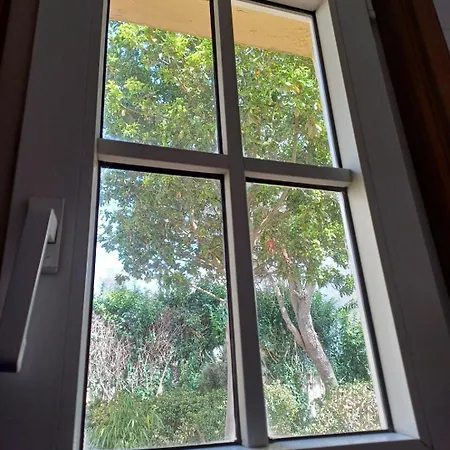 Apartman Esencia Lagunera