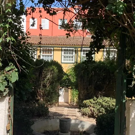 Apartment Esencia Lagunera